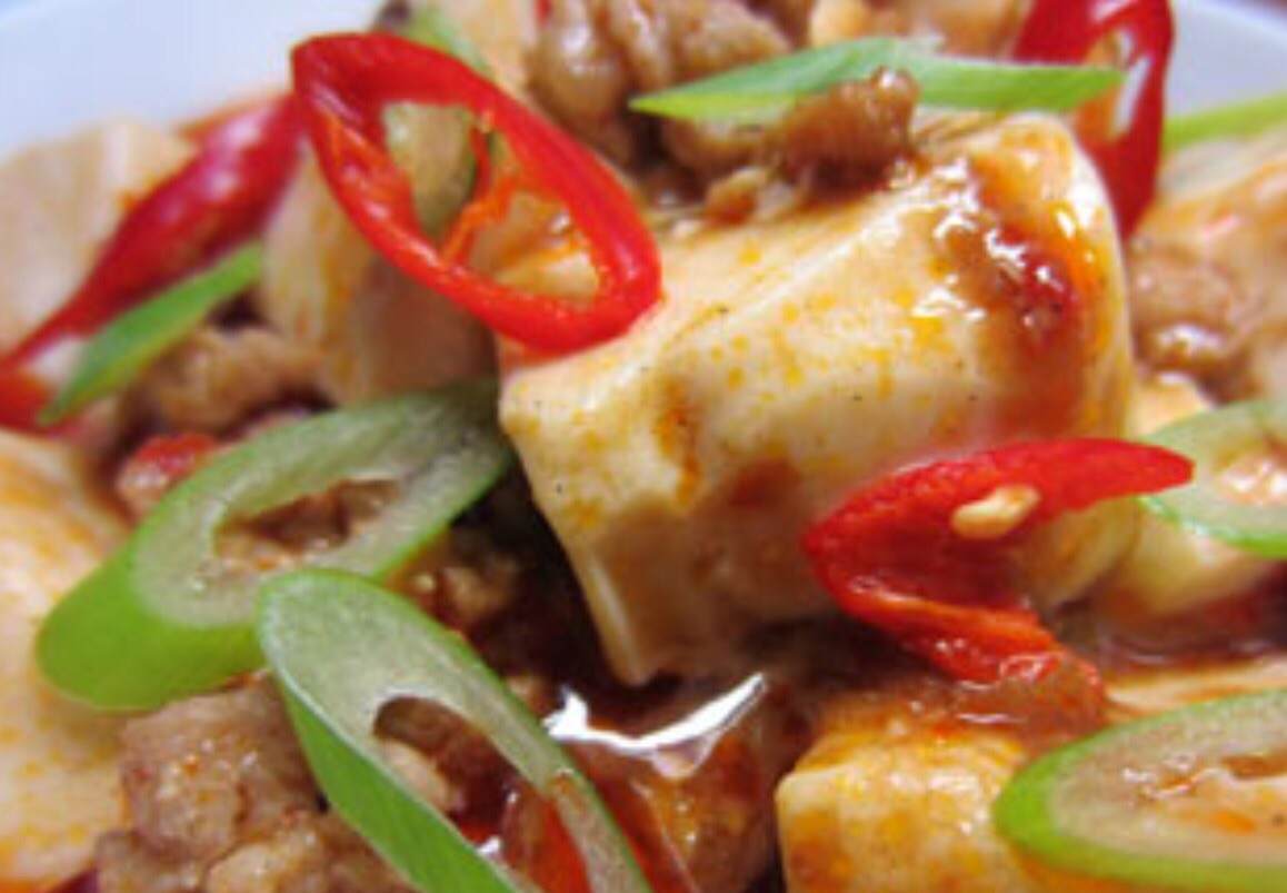 Charcoal Braised Spicy Bean Curd